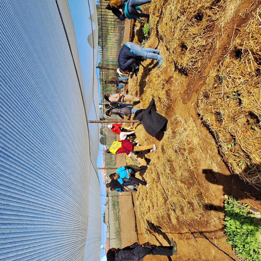 The team of Turner and Townsend in the Garden at Khomanani